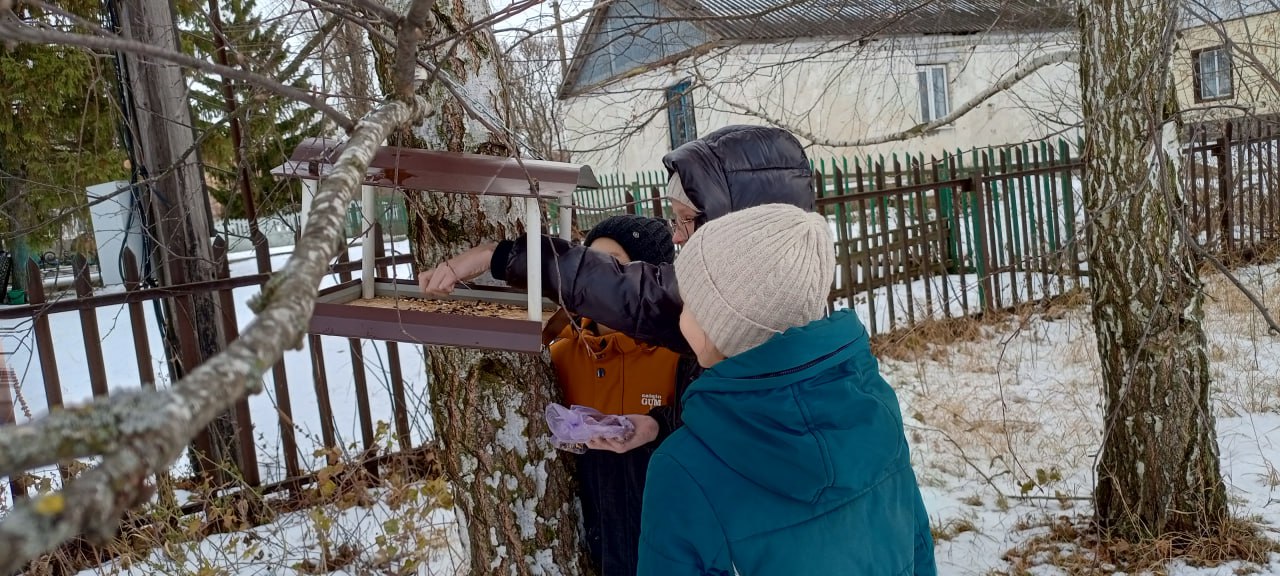 Акция «Синичкин день» продолжается.